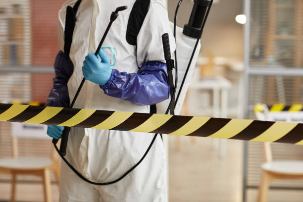 Professional Sewage Cleanup technician working in Lovejoy, IL